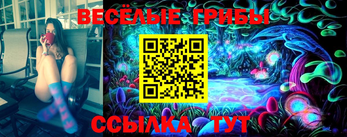 Псилоцибиновые грибы Psilocybe  Вход с VPN  Михайловск 