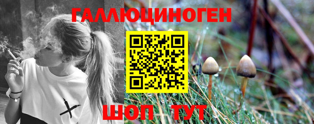 Псилоцибиновые грибы MAGIC MUSHROOMS Михайловск