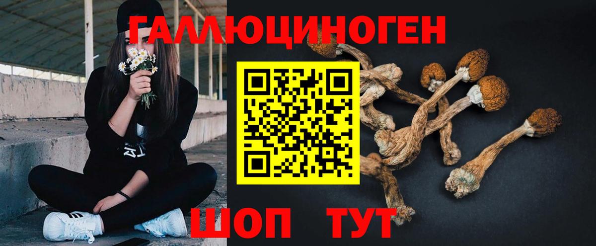 Псилоцибиновые грибы Михайловск